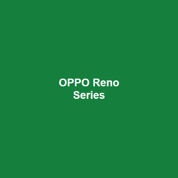 OPPO Reno 11 5G 256GB
